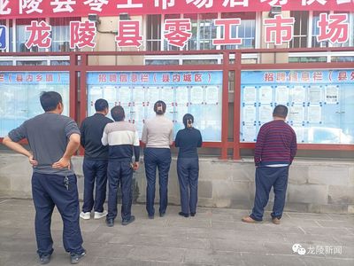龍陵 多維度促進(jìn)就業(yè)創(chuàng)業(yè)，高質(zhì)量托穩(wěn)民生幸?！殬I(yè)中介服務(wù)的核心角色與創(chuàng)新實(shí)踐